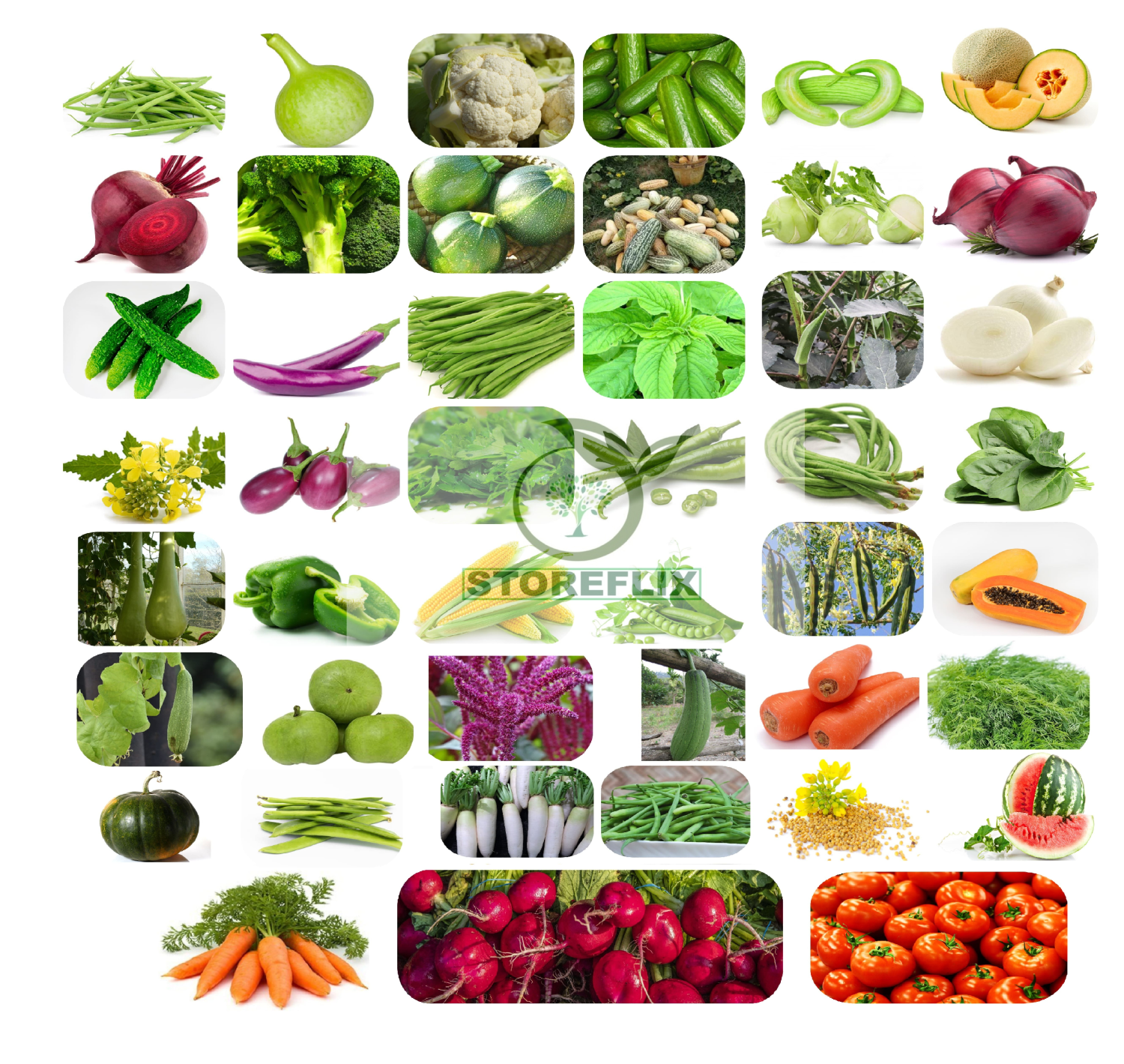 STOREFLIX 45 variety vegetable seeds combo pack with high germination