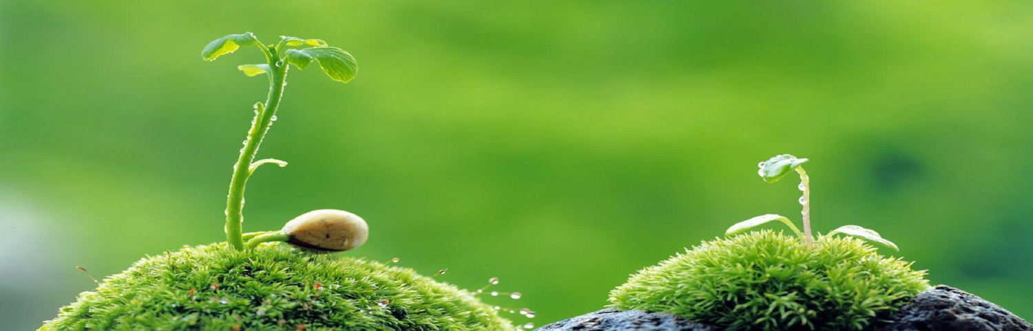 Quick Infotech promo