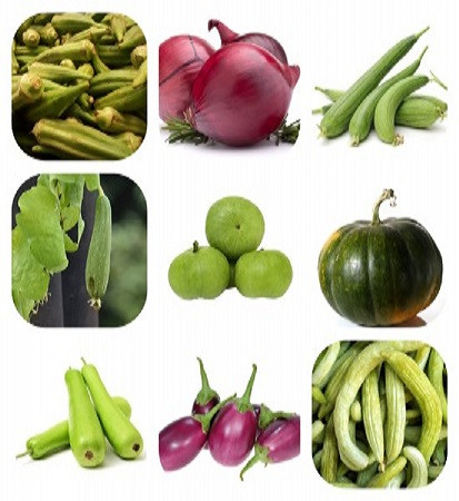vegetable seeds